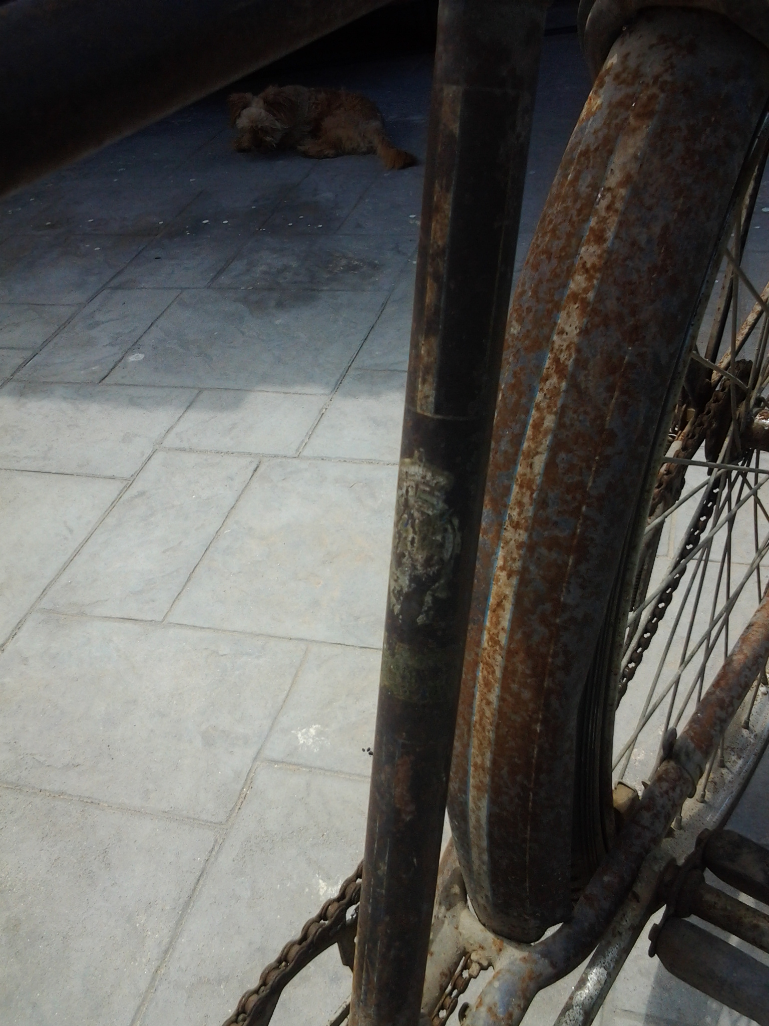 bike