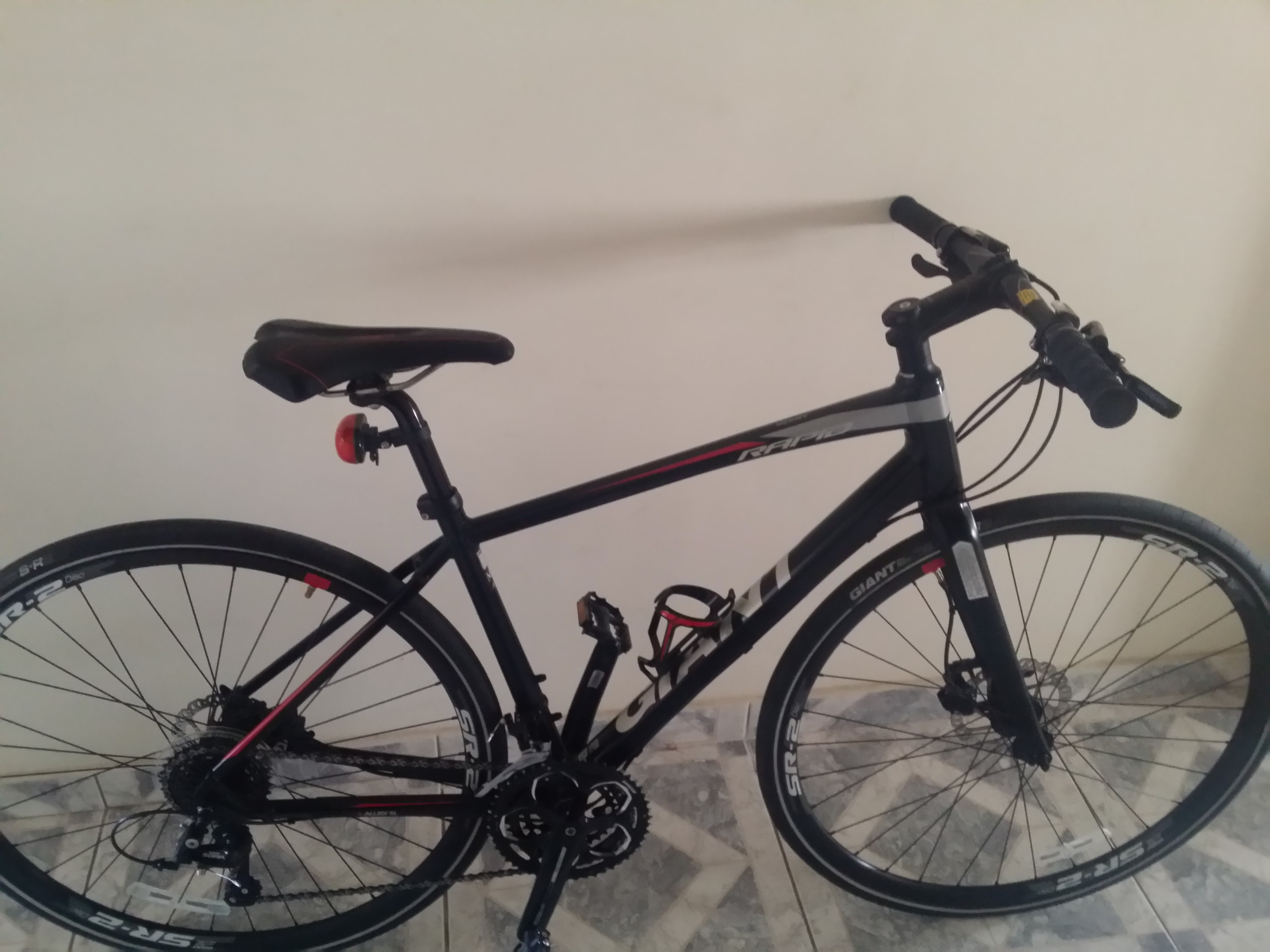 Giant rapid cheap 2 2016