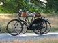 Εικόνα pashley roadster